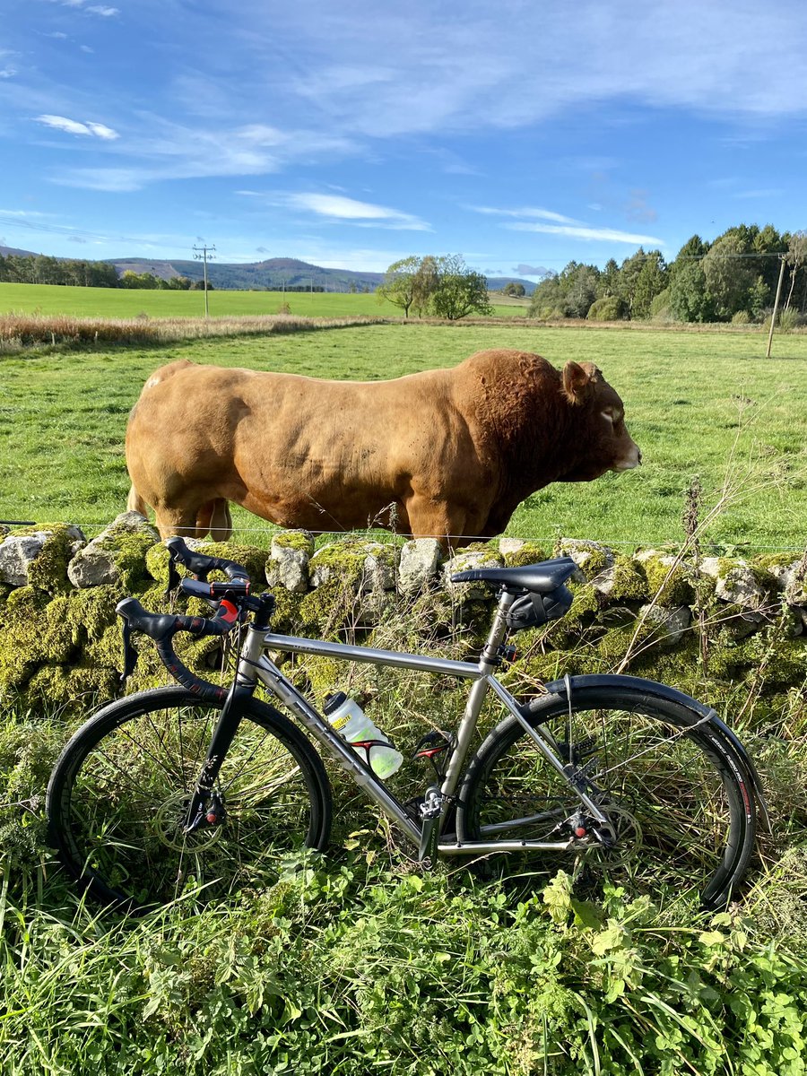 RosscoPossil's tweet image. Aberdeenshire really has world class rural country cycling. No really check it out. If folk elsewhere knew about this stuff …. ❤️ @GCP_JustGoRide @ride_the_north @abdnshcyc @WilliamFawcet20 @planetxbikes