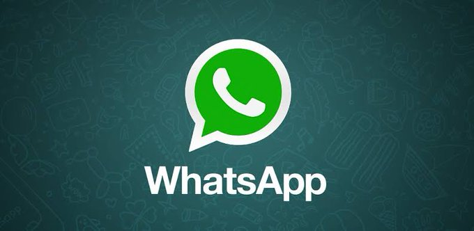 Text, Whatsapp, or Call +19145989959