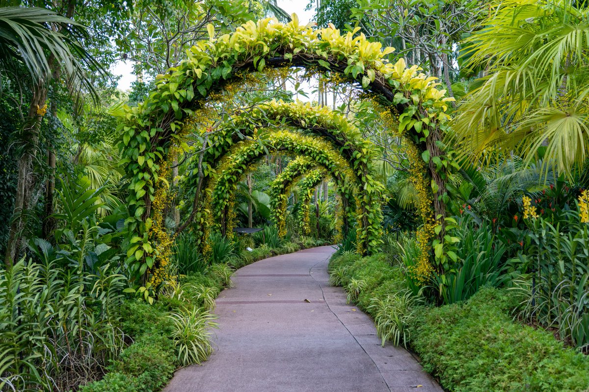 Take time to stop and smell the flowers... especially if you've created the landscape yourself! Our artificial plants are friendly users 🌸🌿✨ #LandscapingGoals #gardening #landscaping #landscapedesign #landscapelovers