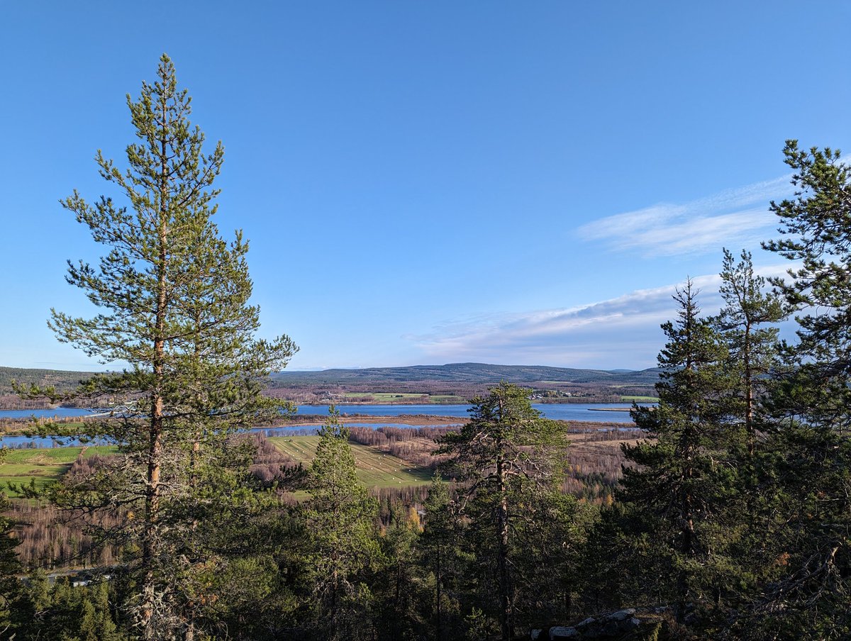 A walk in the backyard 😊. #sweden #lapland #swedishlapland #fall #autumn #nature #outdoorlife #happiness #explorethenorth