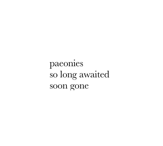 FreshoutMag's tweet photo. #haiku by Jenni Wyn Hyatt @YDryw of Derbyshire, UK. Her work has been widely published & anthologized. Her books: ‘Perhaps One Day’ & ‘Striped Scarves & Coal Dust’. IG: @siffrwd #poetrycommunity #poetrylovers #poetry #micropoetry #UK #paeonies #mononoaware #autumn https://t.co/zwwfYZ2b4f