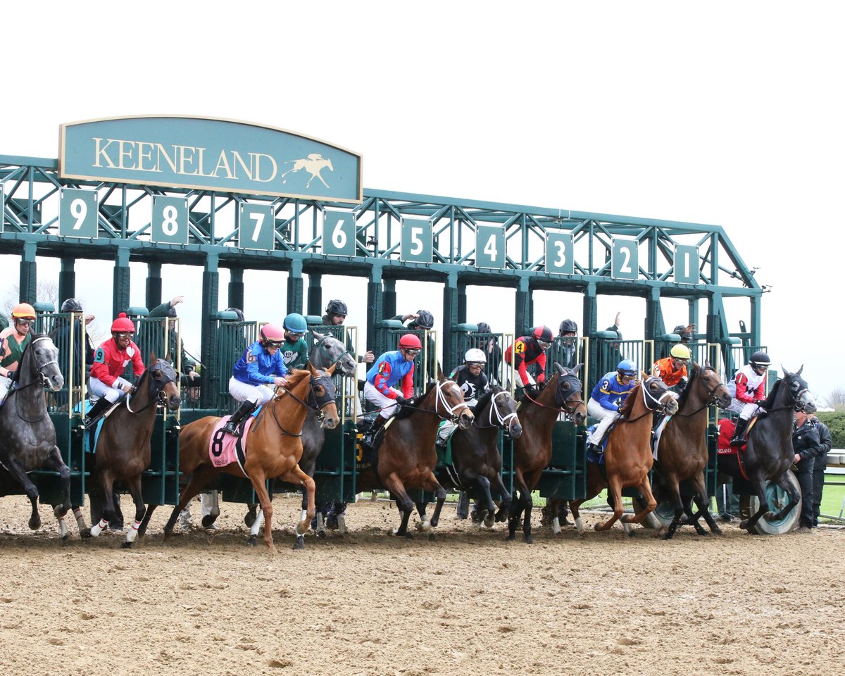 A glance at the opening day card @keeneland... 🌳 🏇 Brightwork and V V's Dream get a rematch in the G1 Darley Alcibiades 🏇 @coreylanerie is one win away from 5k wins 🏇 9x stakes winner Bango looking for graded stakes glory in the G2 Ogden Phoenix #BetWithTwinSpires 📱