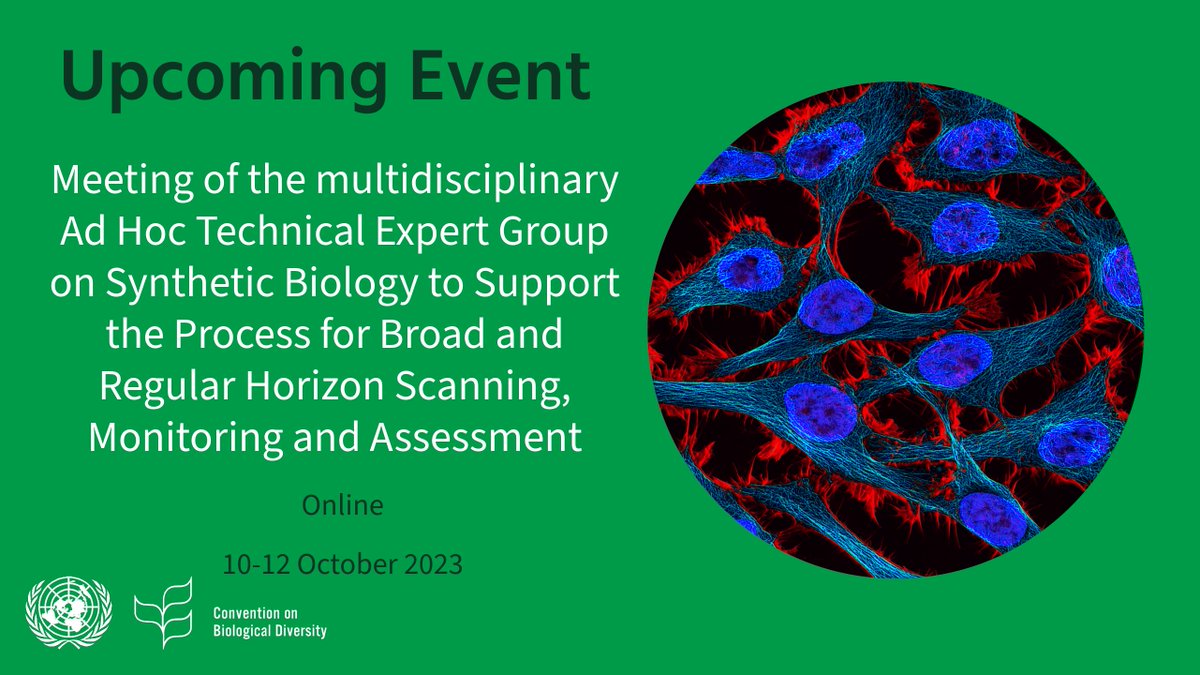 UNBiodiversity's tweet photo. ๐ป: virtual meeting of the multidisciplinary AHTEG.
๐๏ธ: 10-12 Oct.
โ: experts will continue their horizon scanning work on synthetic biology, & will prioritize the most imp. trends & issues in synthetic bio related to the work of the CBD.
#target17 #Biotech #horizonscanning https://t.co/CgX5kLW3Wj