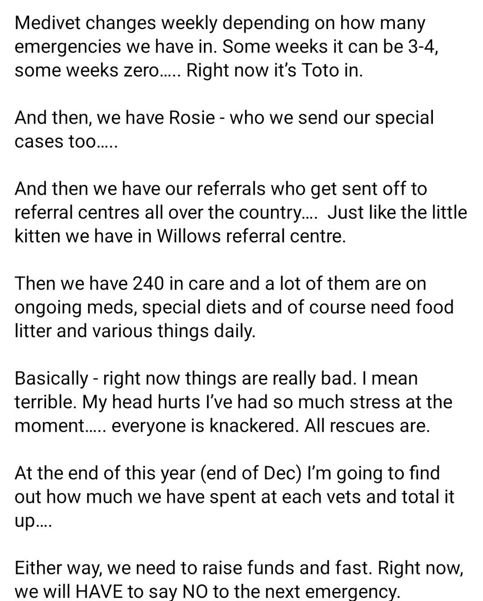 StrayCatsWM's tweet photo. 📖 We can’t do anything else 💔 
This is a massive begging post. We cannot continue like this….PLEASE PLEASE HELP 🥹💔🥹  

Ways to donate - 
•📞 Phone Cavan and pay off Scrt account 
01902 784555 
•Our PayPal 
https://t.co/PplpMlM35l 
•Our bank
TSB
77-68-89
03606268 https://t.co/KxNEQ6F42T