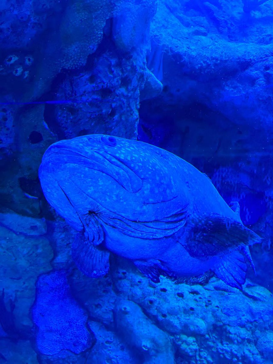 Solost_Rock tweet picture