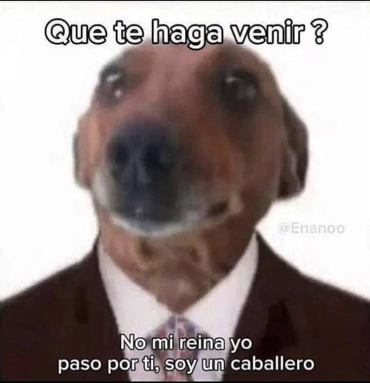 itscrossss's tweet photo. @ainhoa_mazcu No se diga más https://t.co/0EihEJZlb4