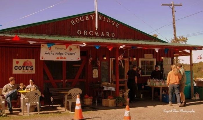 Join us for a fun morning of apple picking followed by lunch at Rocky Ridge Orchard in Bowdoin, Maine, on Saturday, October 14*!

From 10:00 a.m to 12 noon, information at link:

maine.fulbrightchapters.org/chapter-events/

[*Rain date: Sunday, October 15]
