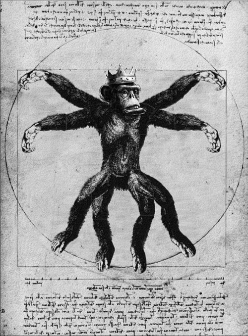 “Simplicity is the ultimate sophistication” - Leonardo da Vinci

<a href="/levvyfinance/">Levvy</a> v2 launch has been a success but #apetober is not over yet 🦧