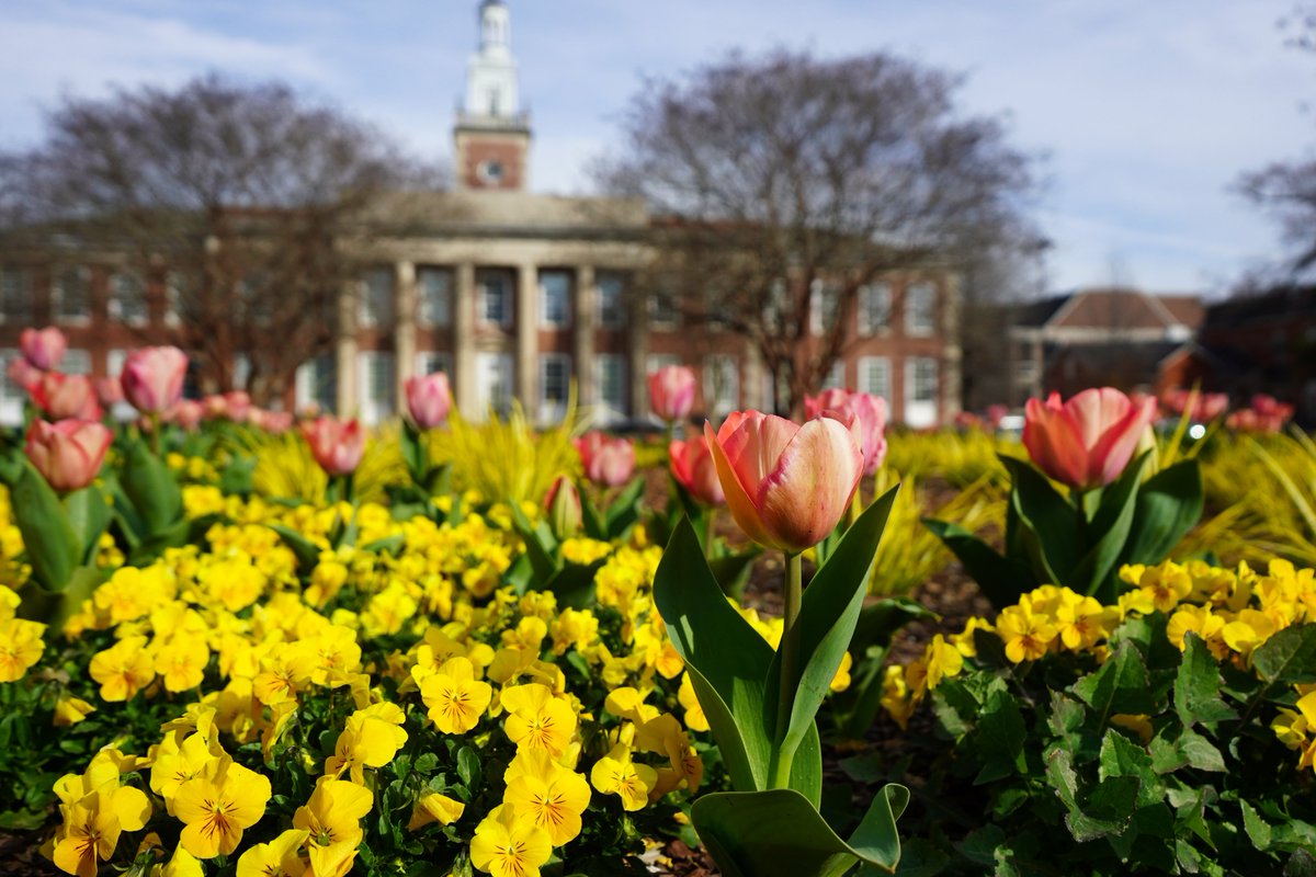 Auburn University Chemical Engineering tweet media