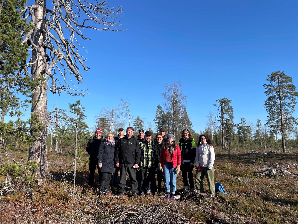 Excursion to CCF and multi-purpose forest in Rovaniemi arranged by the Barents Euro-Artic Council Working Group on Barents Forest Sector. @_SLU @Skogsstyrelsen @Skogforsk @UmeaPlantSci @LukeFinlandInt @Metsahallitus #rovaniemi #artikum