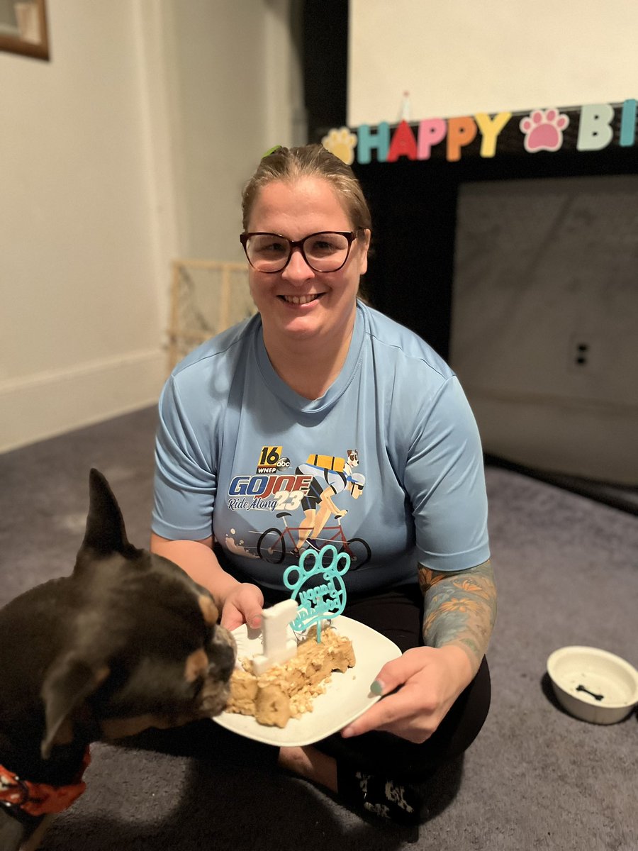 stephaknee__'s tweet image. HAPPY 1st birthday Gus! 
#dog #dogbirthday #frenchie