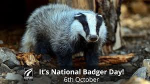 On International Badger Day please take a few minutes to read this important, real life experience of the cull👇🏽

Government sanctioned & paid thugs prowling residential areas with weapons🔫

We’re allowing the eradication of nature based on flawed data🚫

#StopTheCull 🦡