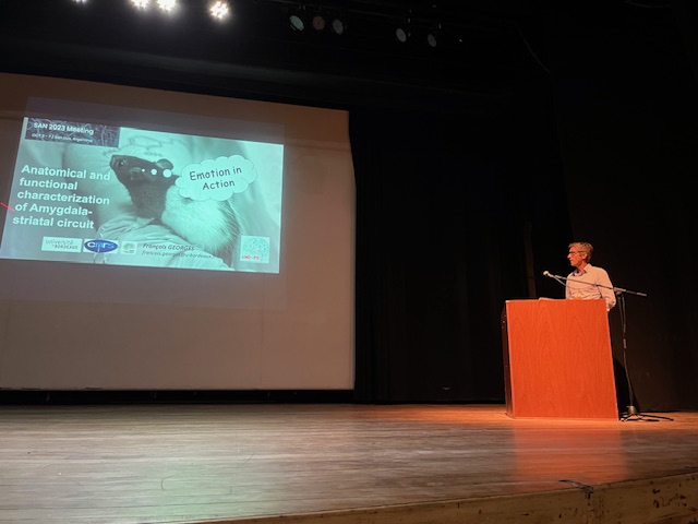 ANDPDProject1's tweet image. Great artwork from alterivo of @fgeorges007bnst presenting at #SAN2023!

👏👏👏