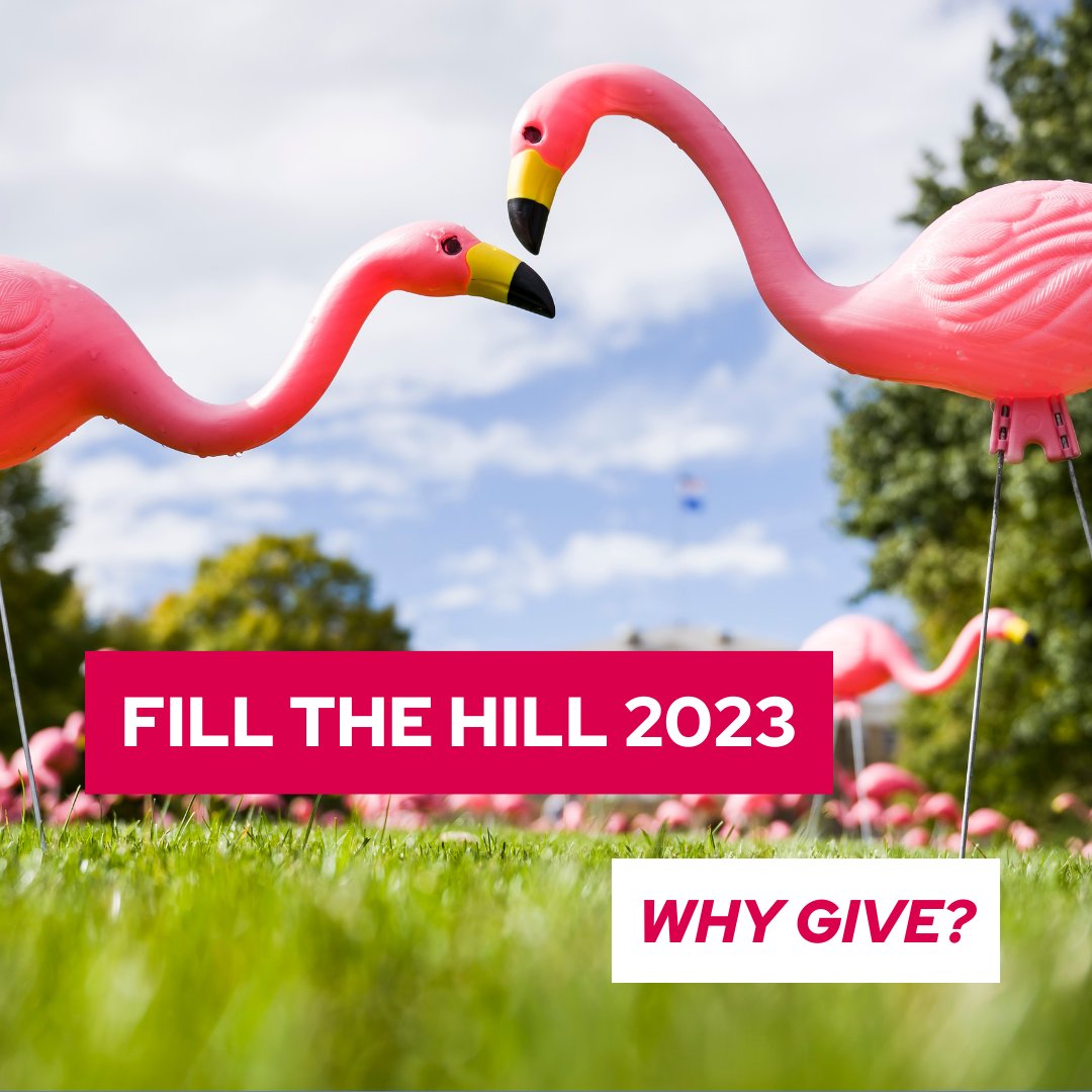 Vice Chancellor for Inclusive Excellence tweet media