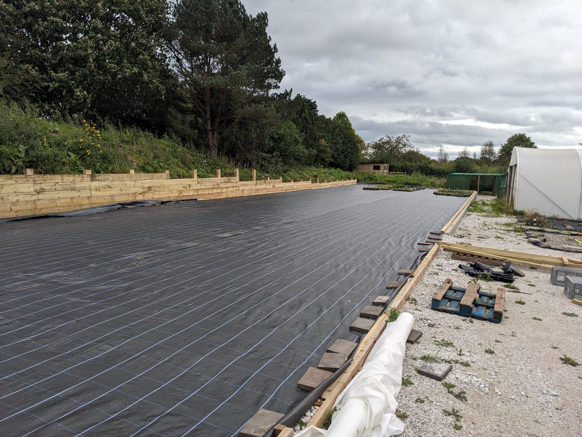 I do love a proper, big transformative project. It's taken almost a year, on and off, even with a JCB, but we're almost there now. Space to grow another 25,000 or so plants at @BluebellCottGdn