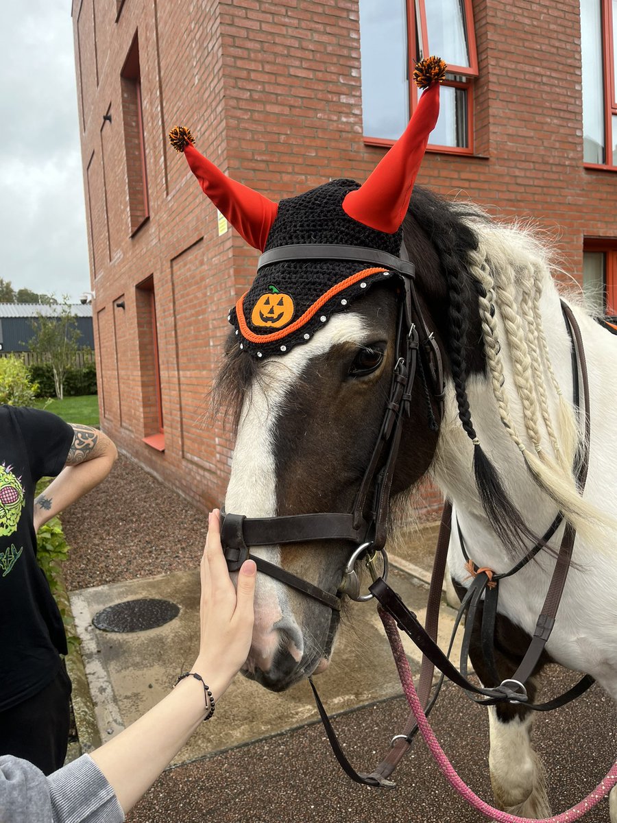 What a lovely end to my working week.  I had a visit from this beautiful mare 🐴 check out her wonderful Halloween hat 🎃 #happyfriday  #newtownards #Horses <a href="/ClanmilHousing/">Clanmil Housing</a>