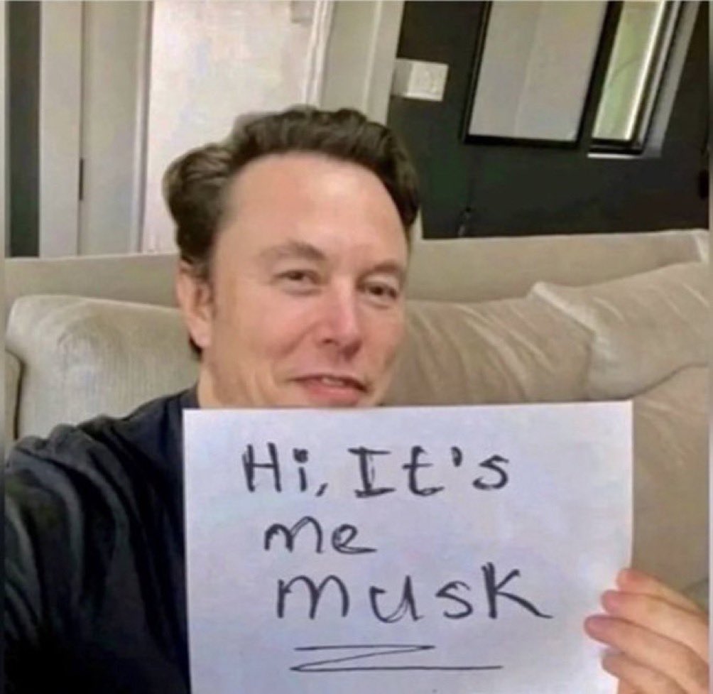 Not Elon Musk tweet media