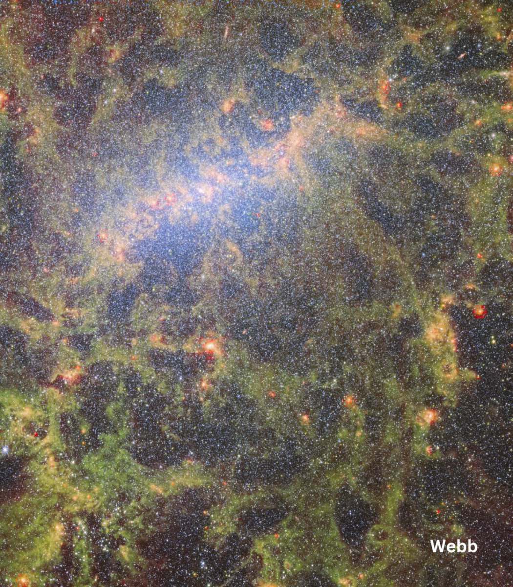 Two space telescopes walk into a bar…

Barred galaxy NGC 5068, that is! The bright white bar in both images is a dense region of mature stars. Hubble's view is in ultraviolet, visible &amp; near-infrared light, while Webb focuses on near &amp; mid-infrared light: esawebb.org/images/potm230…