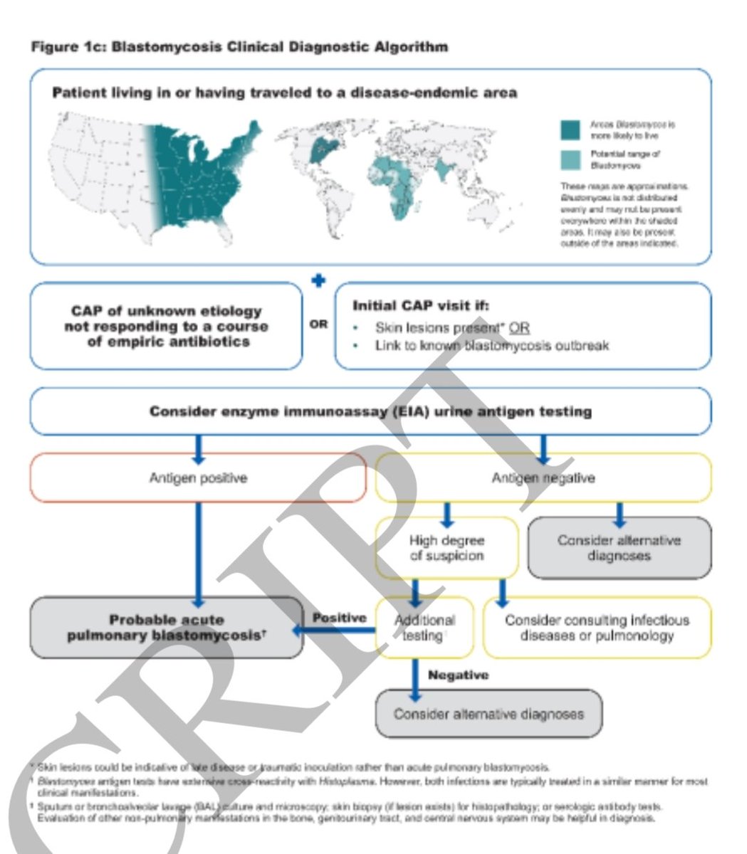 Antibiotic Steward Bassam Ghanem 🅱️C🆔🅿️🌟 tweet media