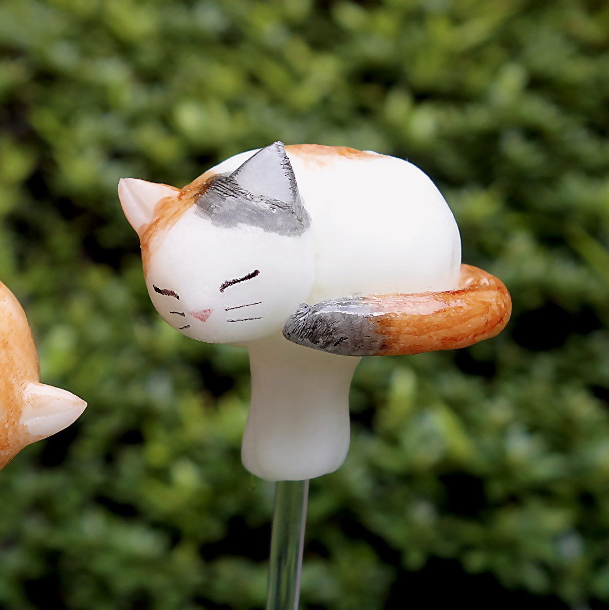 にゃんだらけ の会場より徒歩30秒🐾 アメシン花川戸店ではネコチャン