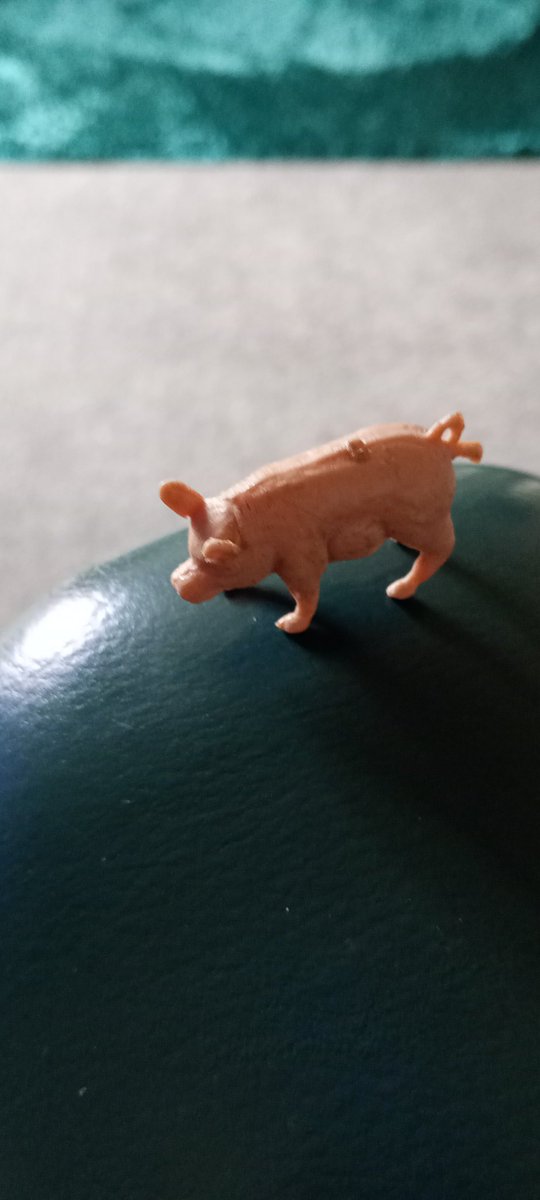 @Sally_writes Mums not well at 92 and she has given me dad's lucky pig,so  fingers crossed.Though I can't see any European travel any time soon!Health not good.Broke due to #50swomens pension fiasco🤬