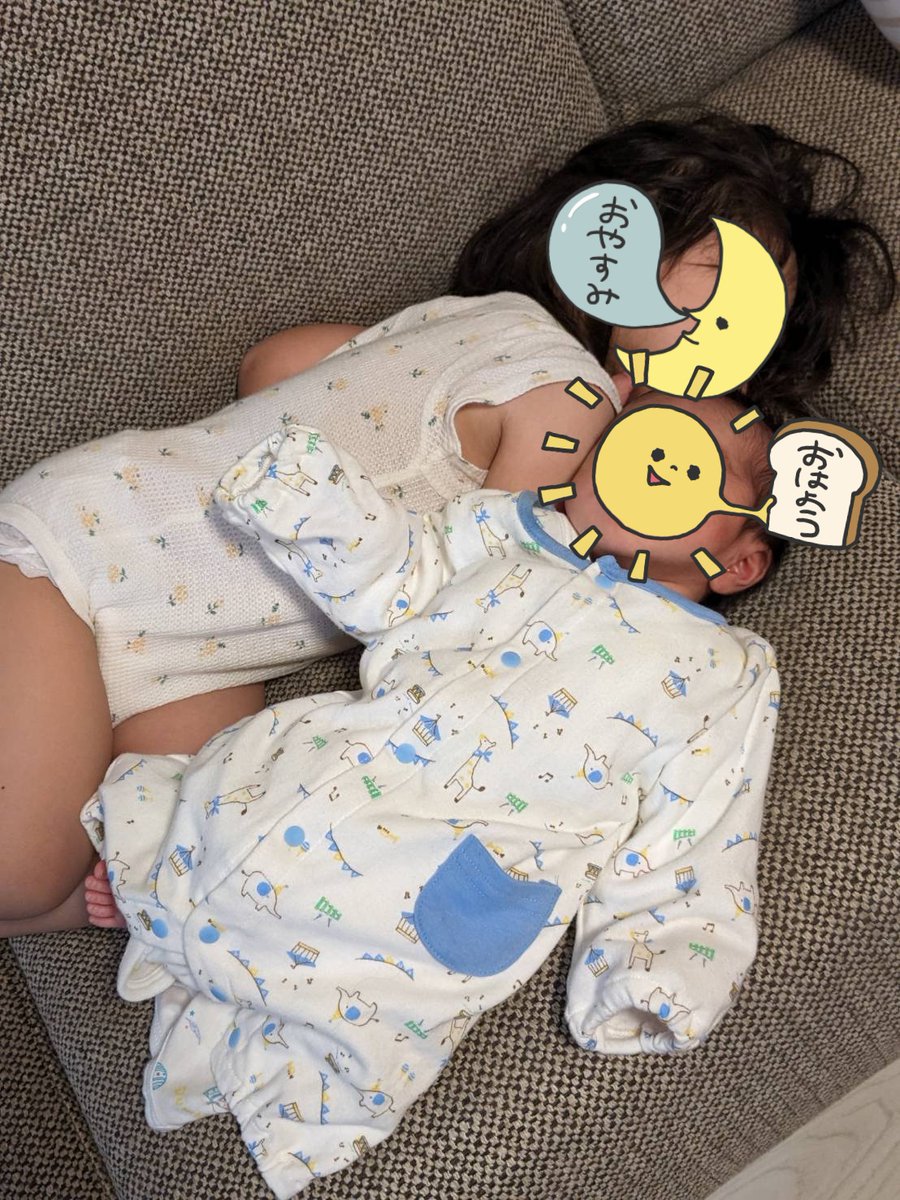 syari_pan's tweet photo. 家族が増えました〜🎉🥳
今度は男の子！
2歳の娘が一緒にお世話しようとしてきたり、ナデナデして可愛がってるのめっっっちゃ可愛いんだけど〜❤️ https://t.co/Y8zFVJ7d5M