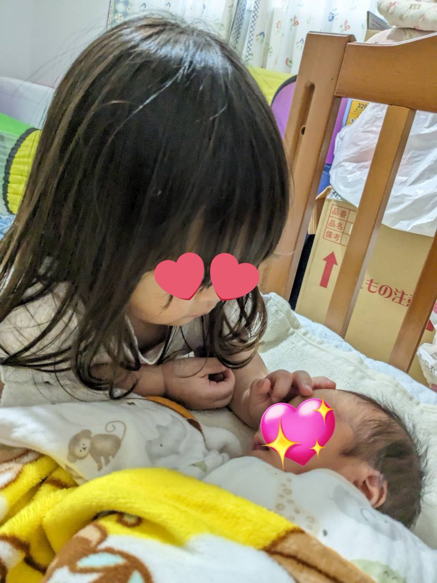 syari_pan's tweet photo. 家族が増えました〜🎉🥳
今度は男の子！
2歳の娘が一緒にお世話しようとしてきたり、ナデナデして可愛がってるのめっっっちゃ可愛いんだけど〜❤️ https://t.co/Y8zFVJ7d5M