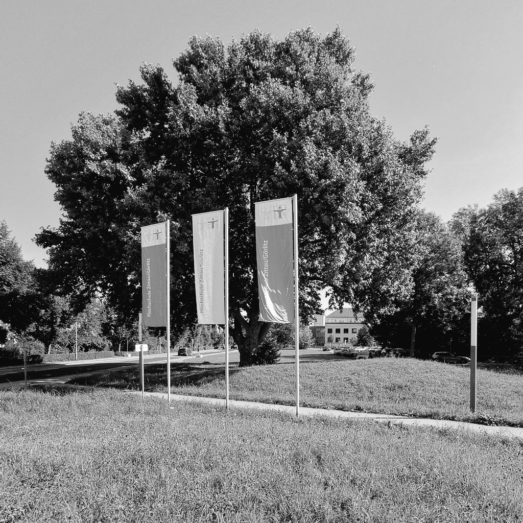 stufu_hszg's tweet image. 🟢 Zum Ende der ersten Vorlesungswoche grüßt das #Stufu und wünscht allen ein schönes Wochenende! Platane am Campus @StadtZittau #Platanus
#Studier_hier #Weilsschönist (fs) 
👉 Genießertip: #Sarti #Spitz 🍹 gibt&apos;s @StadtGoerlitz hier
hszg.de/studium/dein-w…