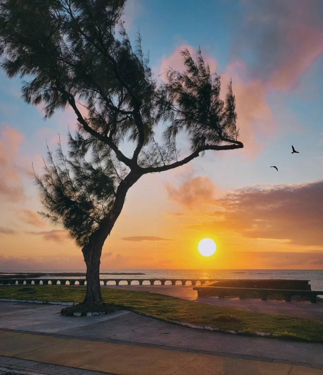 Nesta sexta-feira (06), o bom dia vem de Olinda.

Para que sua foto apareça no feed do Diario de Pernambuco basta postar um clique com a #DiariodePernambuco.

Esta foto foi feita por <a href="/douglaspbf/">Douglas Ferreira</a>

#PE #DP #Pernambuco #bomdia #Olinda #Praia #Mar #Sol