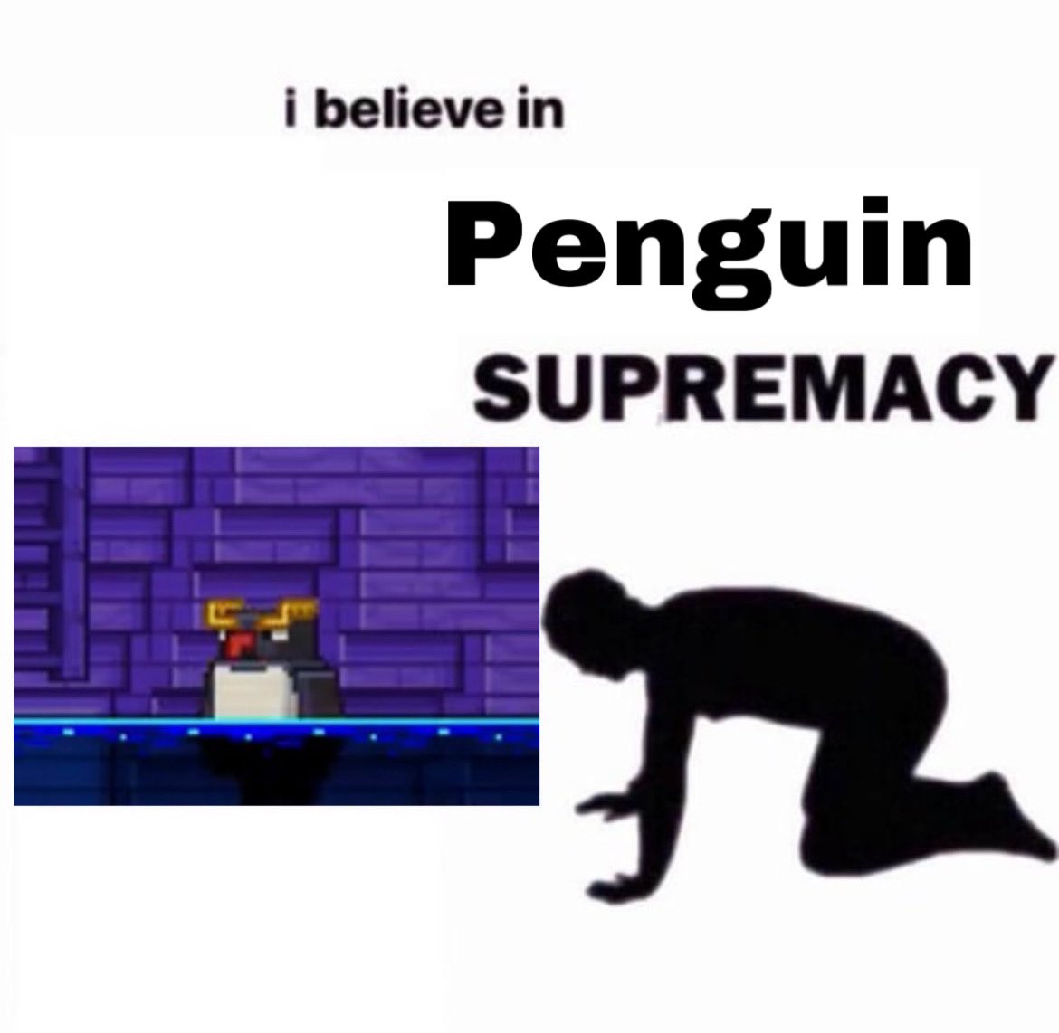 If you are choosing the armadillo just because of dog armour then I don’t think your looking after your dogs properly, All my dogs have ever done in my minecraft worlds is sit in a dedicated area for them, I never take them into battle because they are too precious

VOTE PENGUIN
