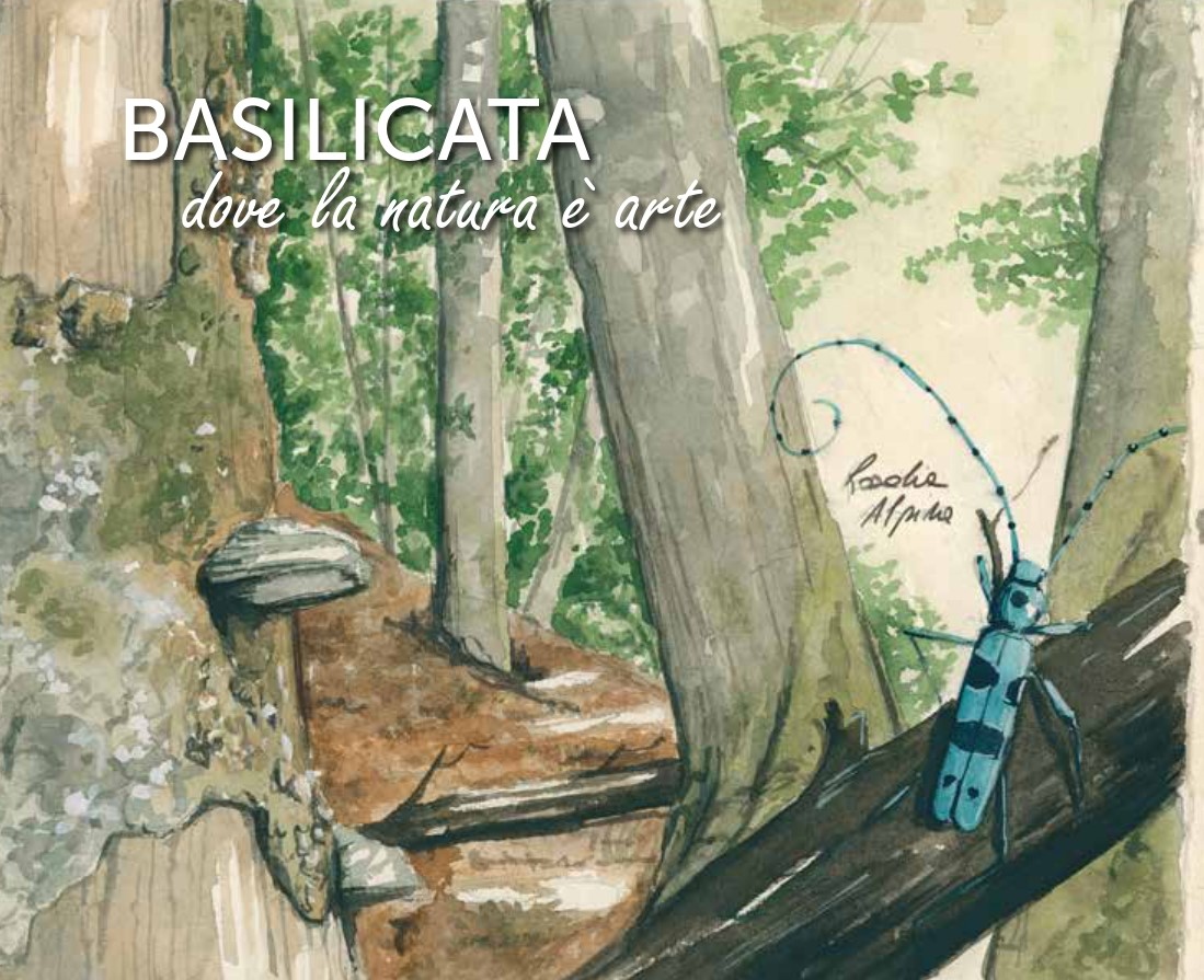 <a href="/regbasilicata/">Regione Basilicata</a> e <a href="/Basilicata_Tur/">Basilicata Turistica</a> dall’11 al 13 ottobre al @TtgExpo di Rimini, l'evento più importante per la promozione del turismo in Italia, per proporre la variegata offerta turistica lucana. 

Leggi &gt; regione.basilicata.it/giunta/site/gi…
