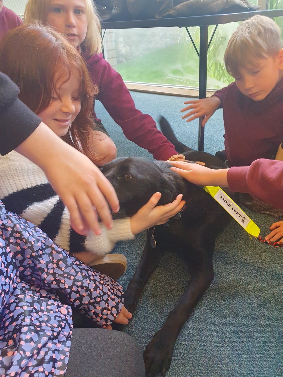 whatsonatcampie's tweet photo. P6B had a surprise visitor on their library visit today. June the therapy dog was a total hit😍🐶 https://t.co/ibrIRmVOPj