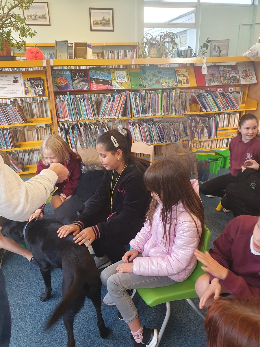 whatsonatcampie's tweet photo. P6B had a surprise visitor on their library visit today. June the therapy dog was a total hit😍🐶 https://t.co/ibrIRmVOPj