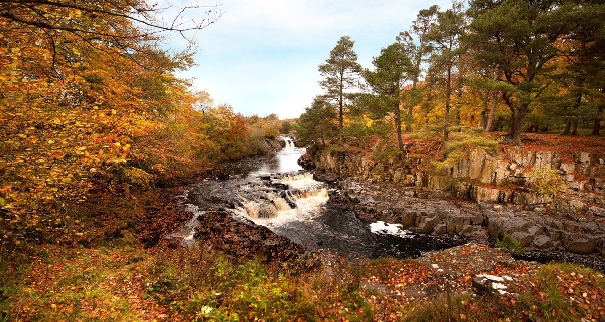 ThisisDurham's tweet photo. Are you a #leafpeeper? 👀🍂 Durham's great outdoors will soon be transformed into a colourful kaleidoscope of stunning #autumncolours 🍁
Check out our guide to the best places to soak up those vibrant displays across the county: https://t.co/Va3RV1DnaT #lovedurham https://t.co/KMl6MckbOJ