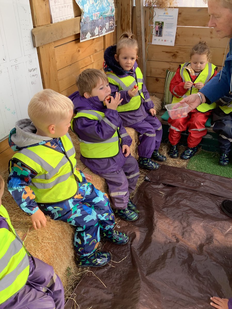 Our ELC Plant a Seed group tried fruit grown by <a href="/MAEDT1/">Mayfield & Easthouses Development Trust</a>  The children discussed what the fruit felt and tasted like.  They picked pumpkins from the patch and got to smell all the different herbs <a href="/LawfieldPS/">Lawfield Primary School and ELC</a> <a href="/MidEarly/">Mid early years</a> <a href="/caleygrowlearn/">Grow & Learn Awards</a>  #smell #taste #nature