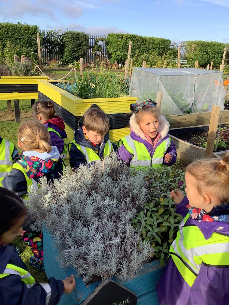 Lawfield Primary School and ELC tweet media