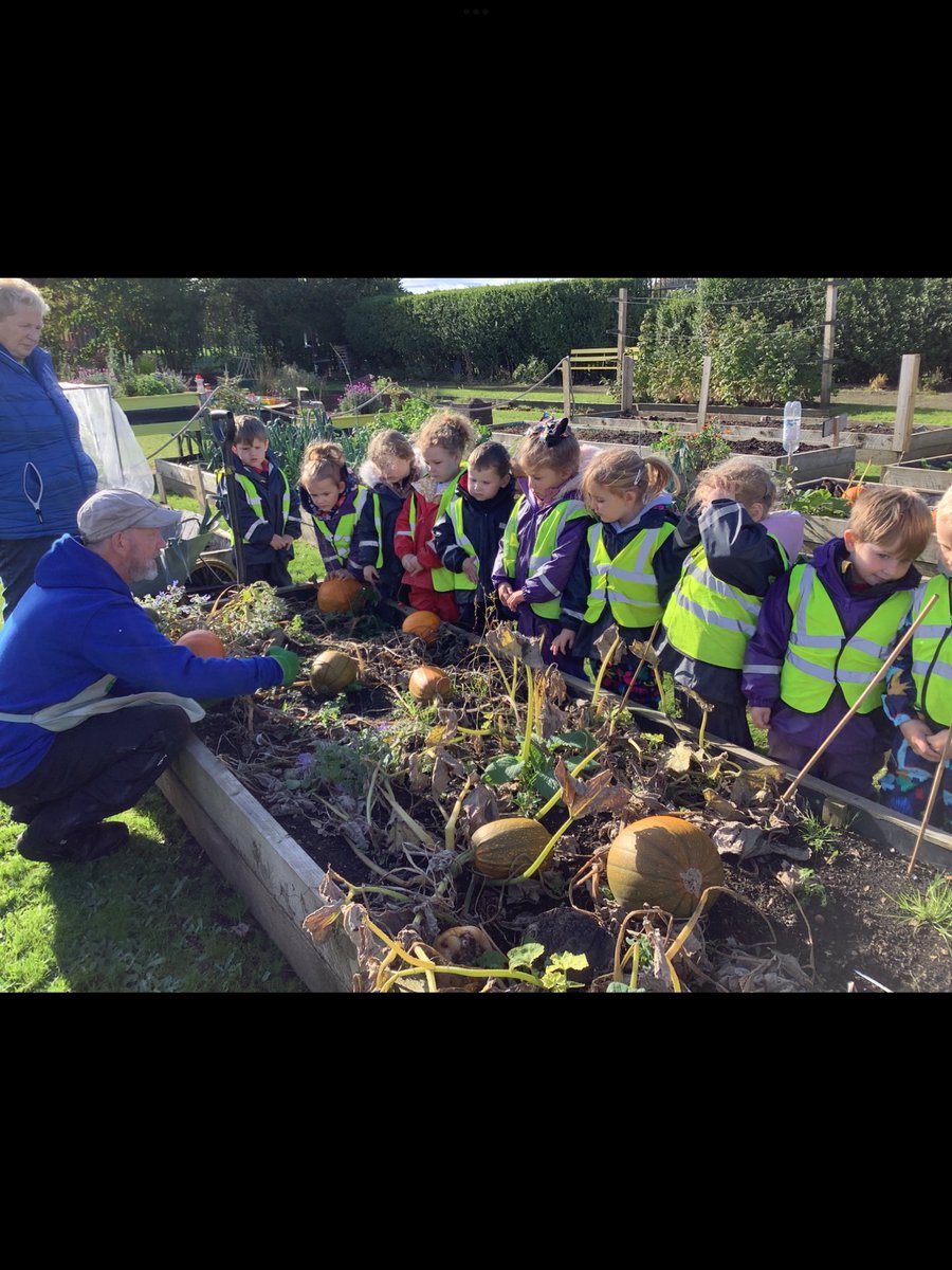 Lawfield Primary School and ELC tweet media