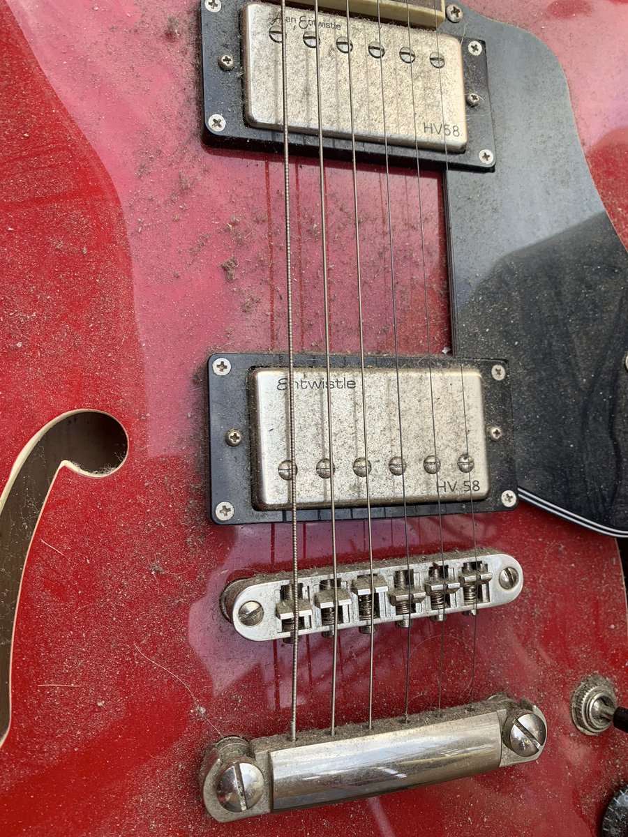 Unfortunately when someone sells a guitar to us it’s not just the guitar that comes in!
Now where did I put my Hoover? 🤣