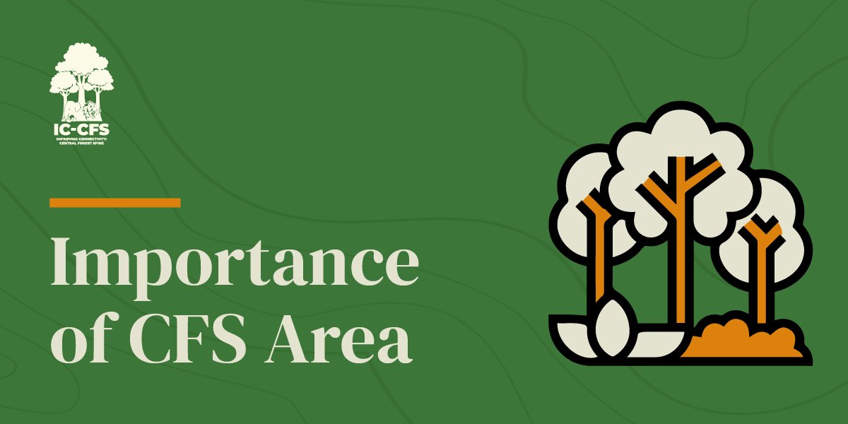 IC-CFS Malaysia tweet media