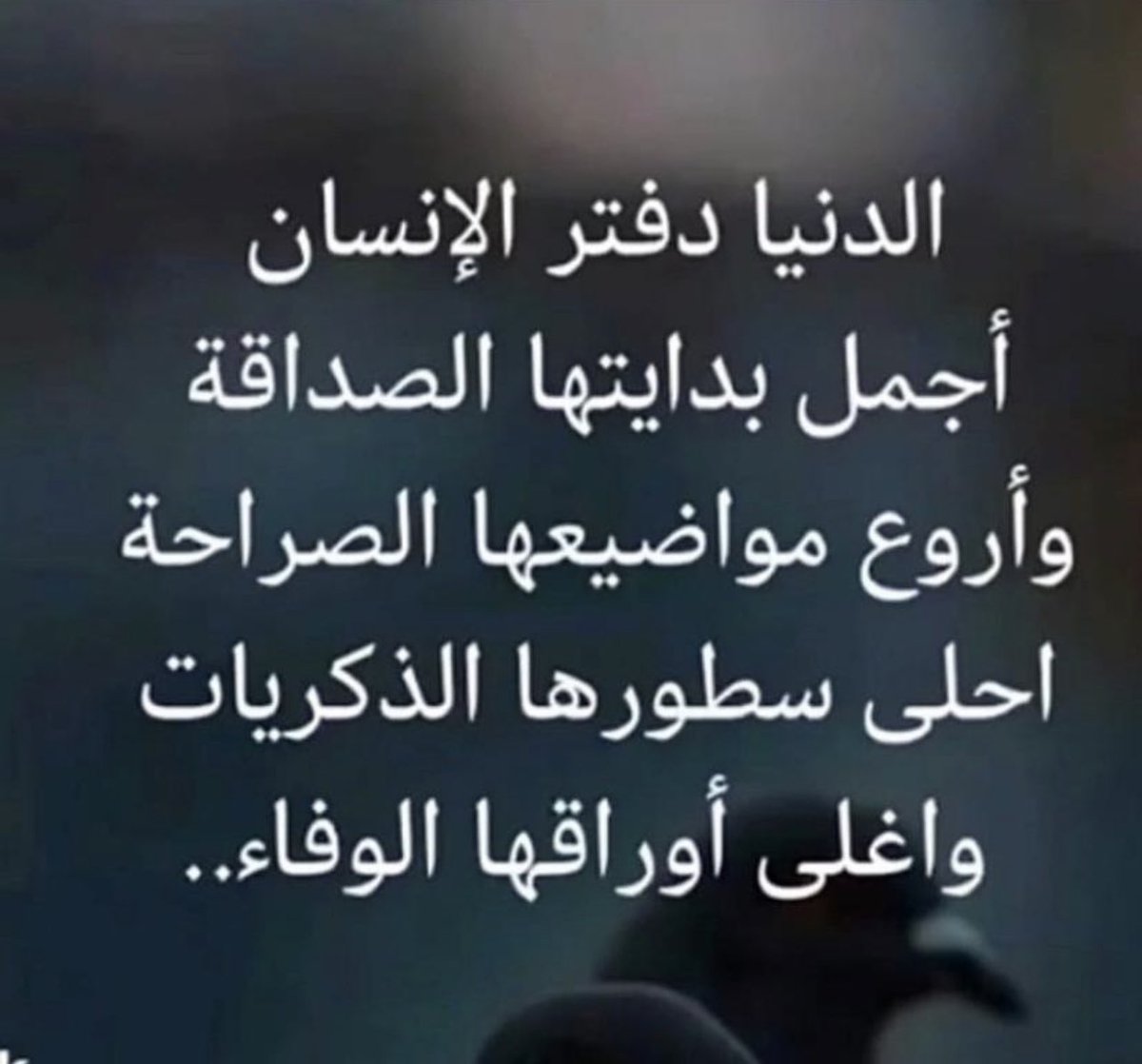 (AL NADYR (@nadr491) on Twitter photo 