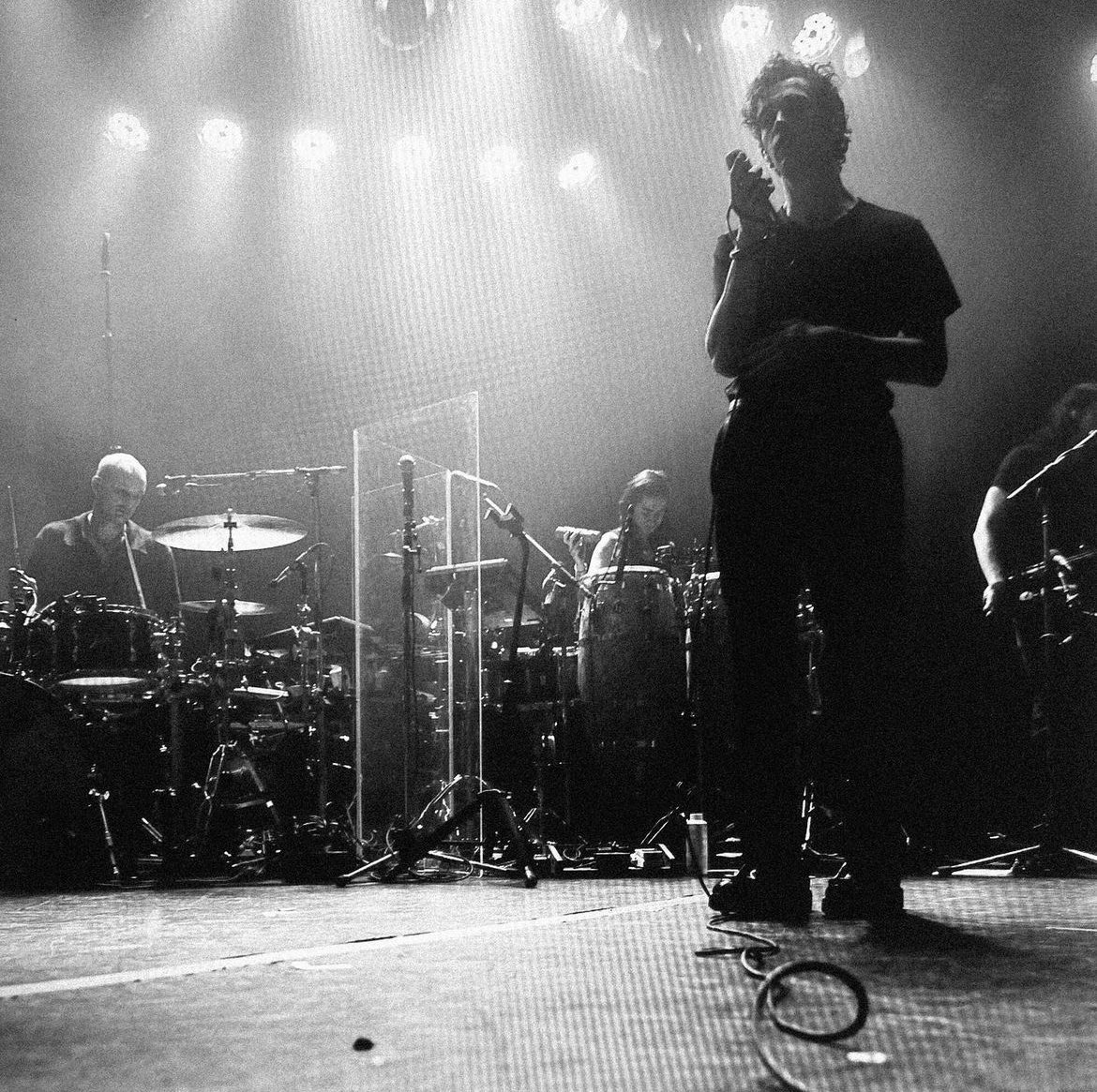 The 1975 tweet media