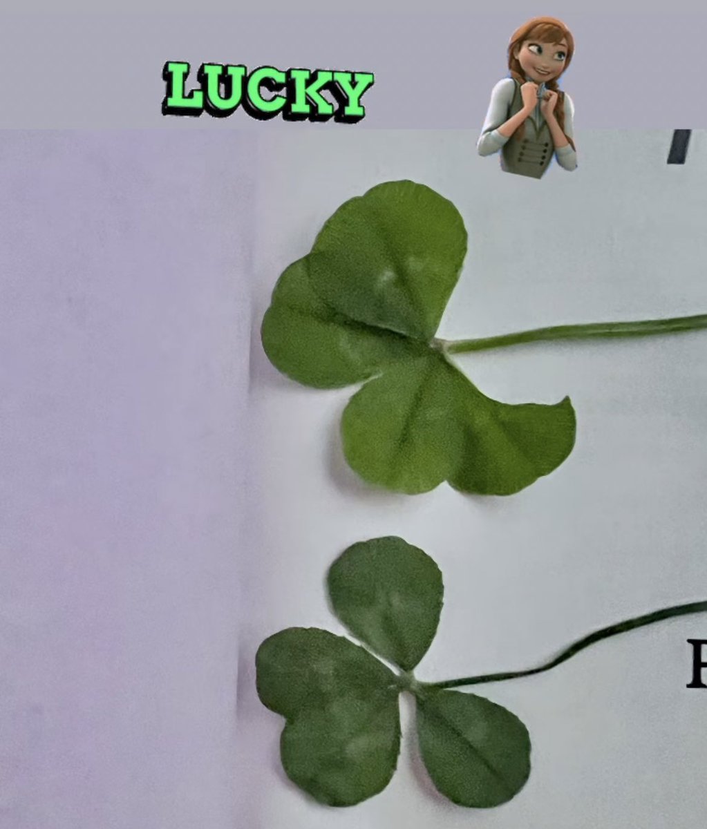 meenseon's tweet image. Throw back one year ago on oct 6 was AoS2 last filming🍀🍀🍀🍀 #AlchemyOfSoulsLightAndShadow #LeeJaeWook #GoYounJung