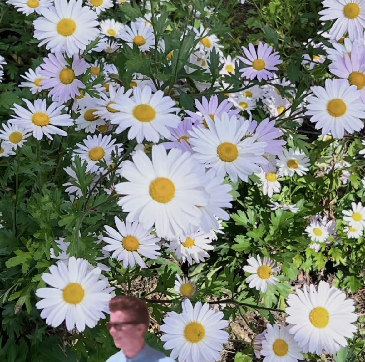 meenseon's tweet image. Throw back one year ago on oct 6 was AoS2 last filming🍀🍀🍀🍀 #AlchemyOfSoulsLightAndShadow #LeeJaeWook #GoYounJung