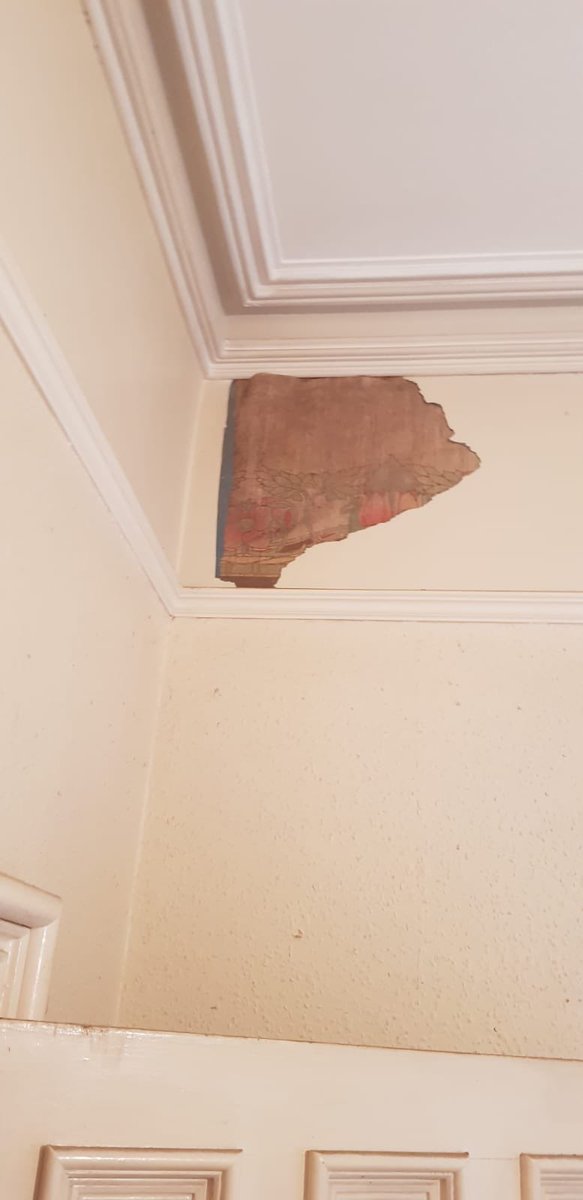 Polly Schomberg tweet media