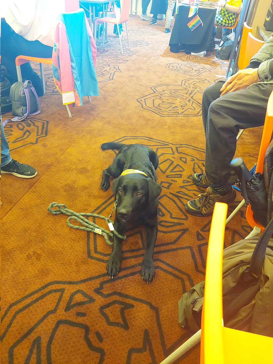 Card Retrieve tweet media