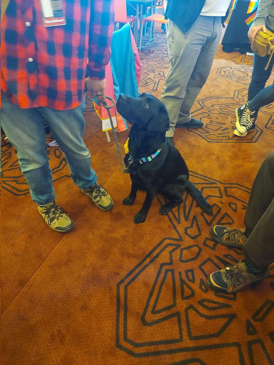 Card Retrieve tweet media