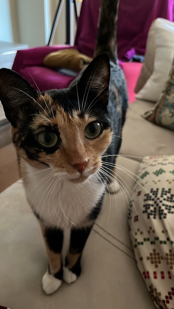 Es un poco terrorista la tía, pero es bien fotogenica