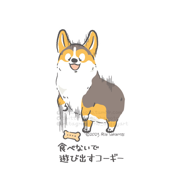 「shiba inu simple background」 illustration images(Latest)｜5pages