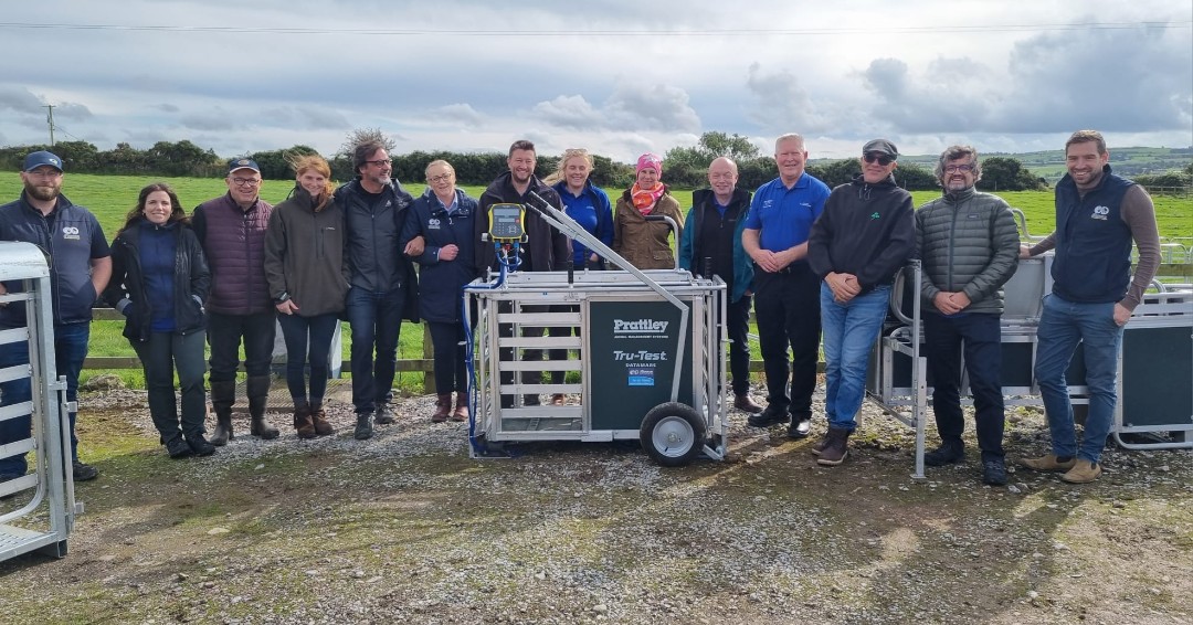 Datamars Livestock UK tweet media