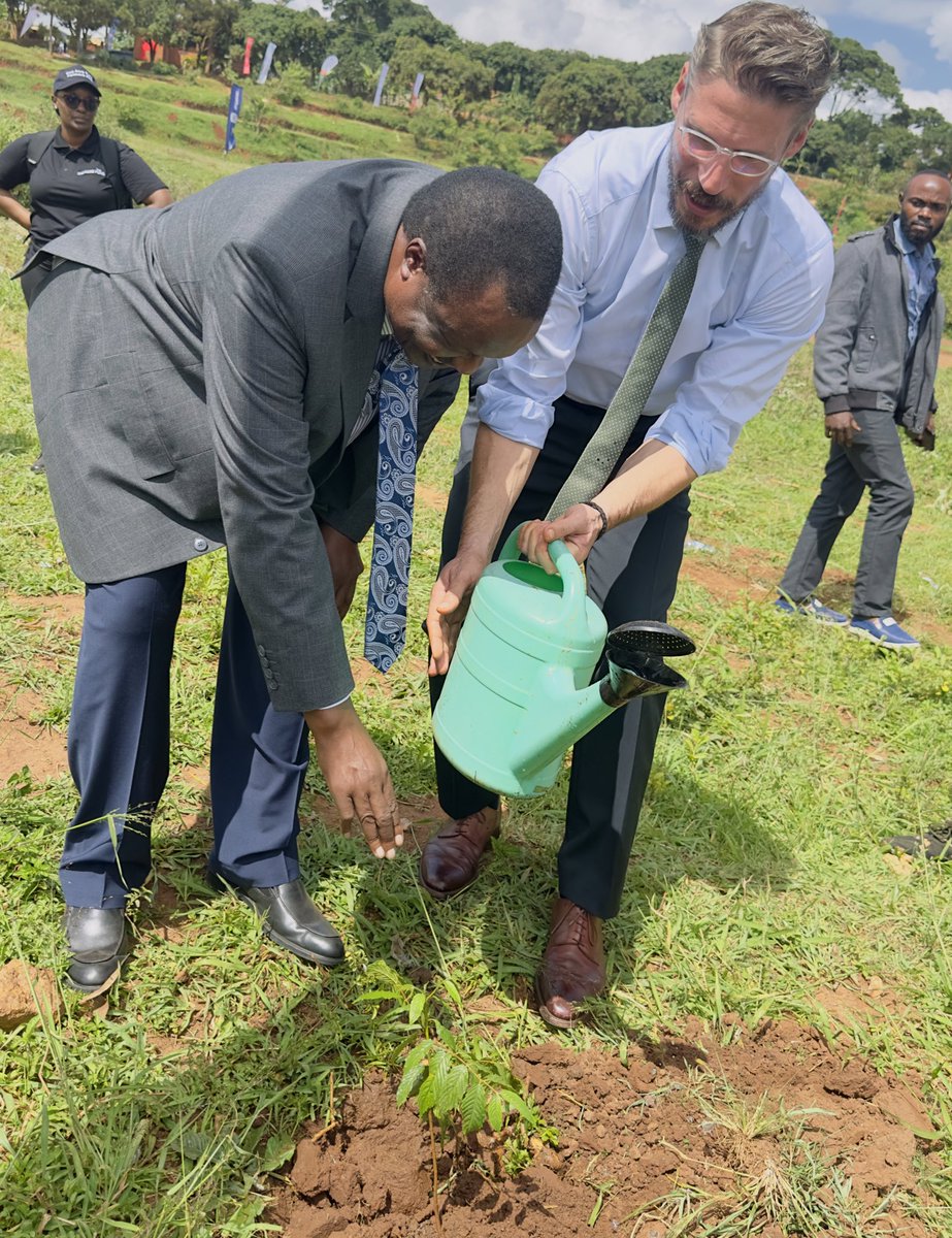 TotalEnergiesUG's tweet image. For 2023, #TotalEnergiesEPUganda has already planted 75,000 fruit and cash trees together with communities. -@jean_gavalda. #RunningOutOfTrees